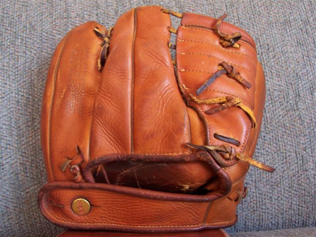 Wilson Ball Hawk A2160 Back